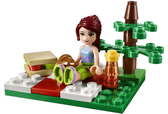 Summer Picnic (Polybag) - Image 2