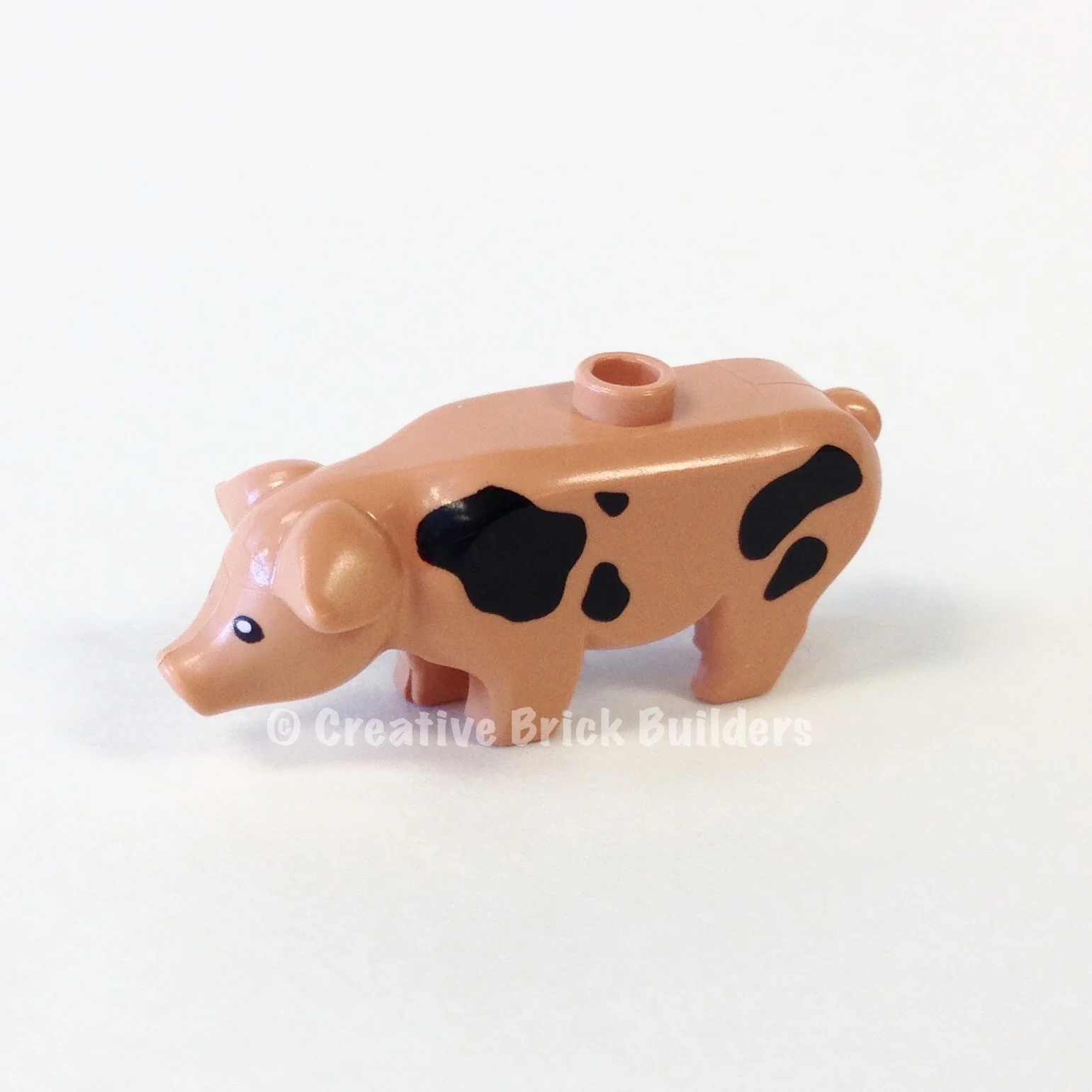 Pig