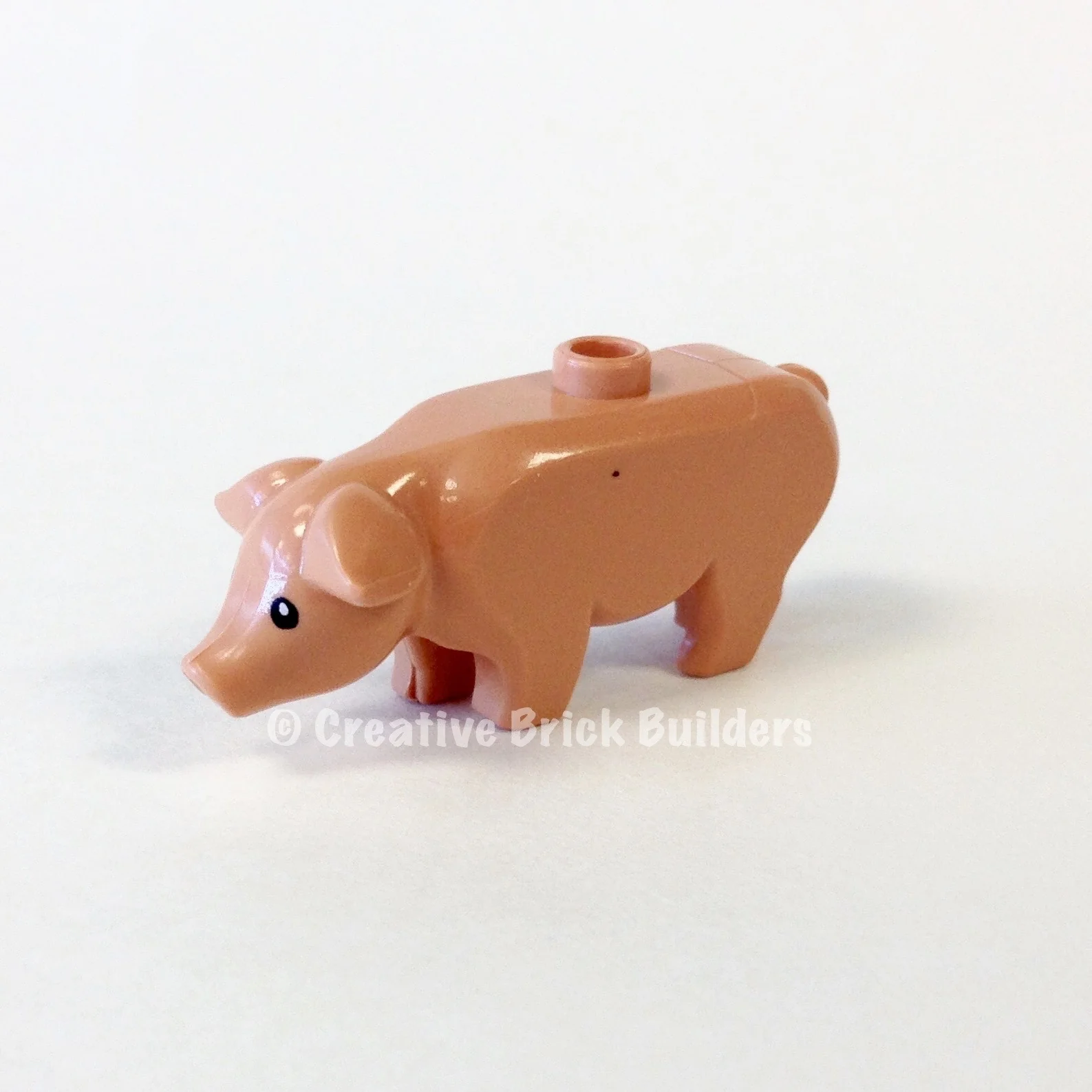 Pig - Image 2