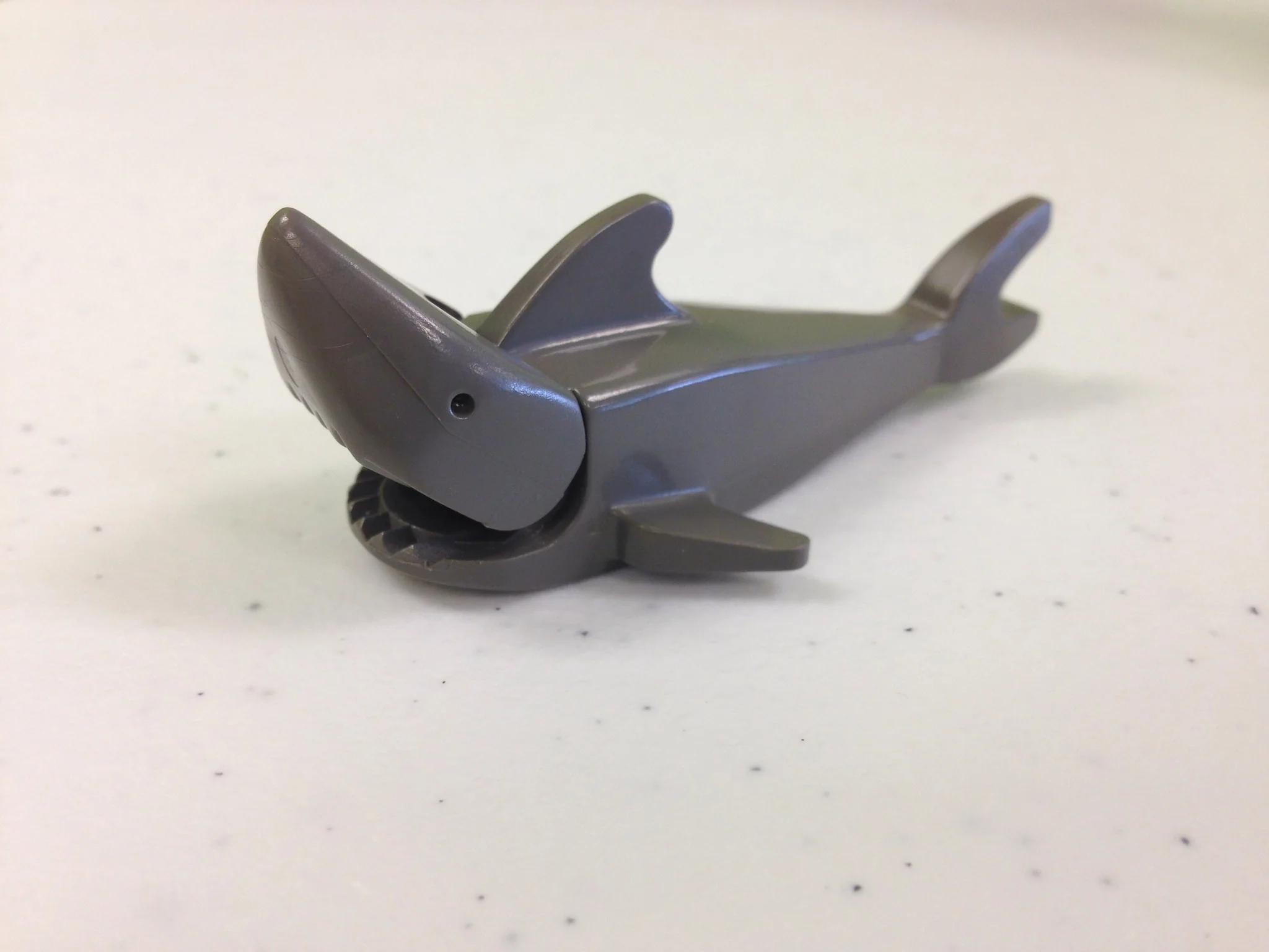 Shark