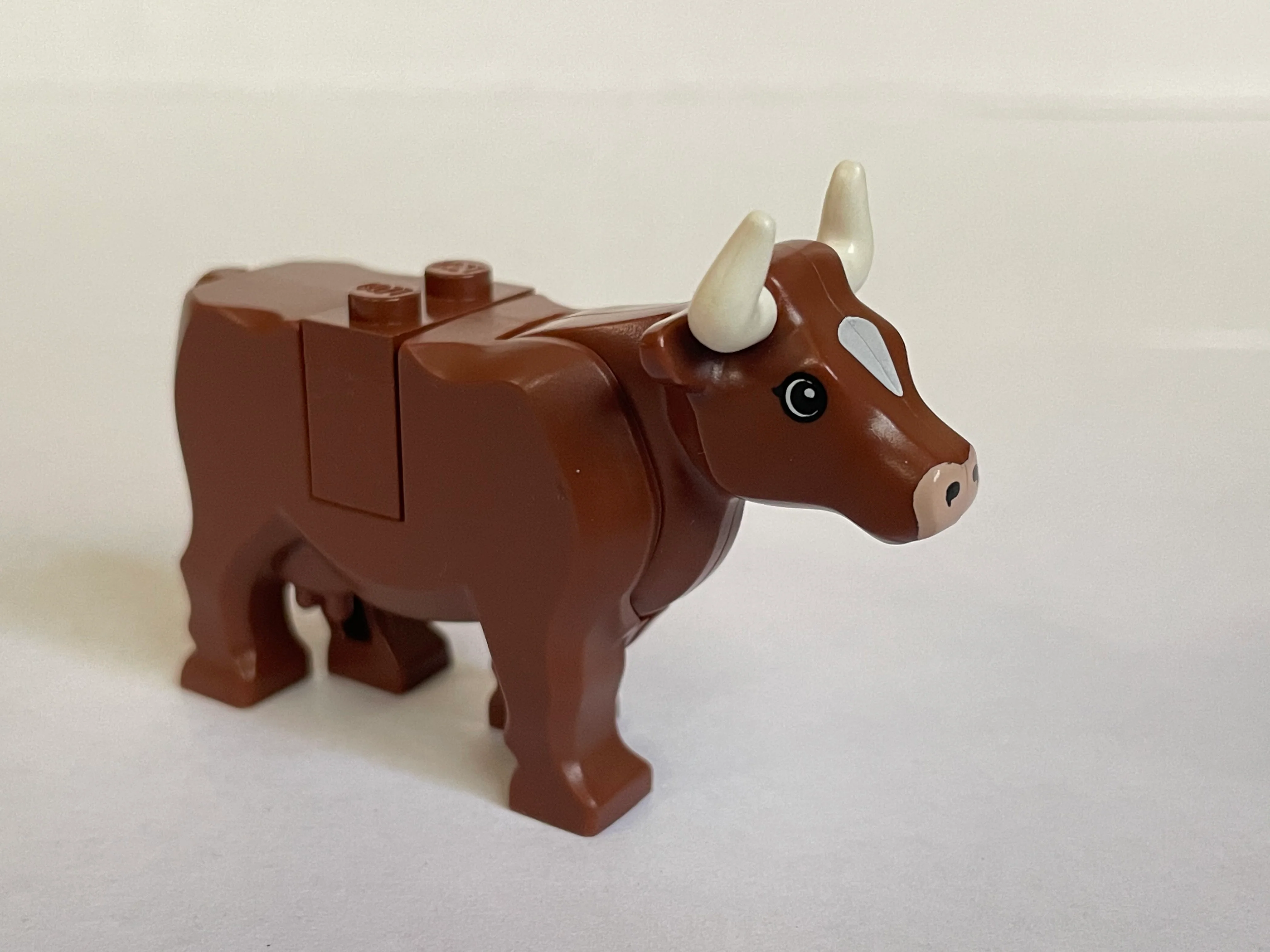 Cow - Image 5