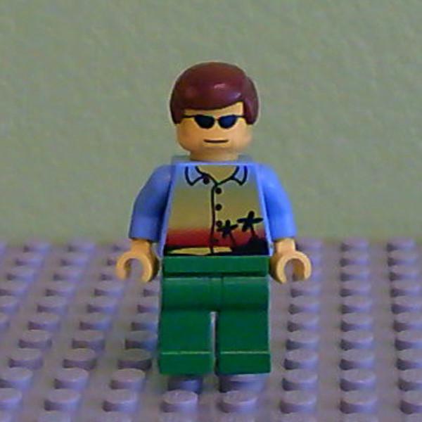 Sunset and Palm Trees - Green Legs, Reddish Brown Male Hair, Sunglasses