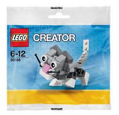 Cute Kitten (Polybag)