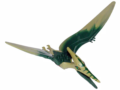 Pteranodon with Reddish Brown Back - Image 3