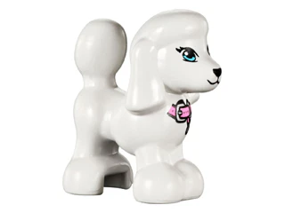 Dog, Poodle