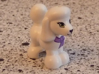 Dog, Poodle - Image 2