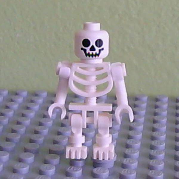 Skeleton with Standard Skull, Bent Arms