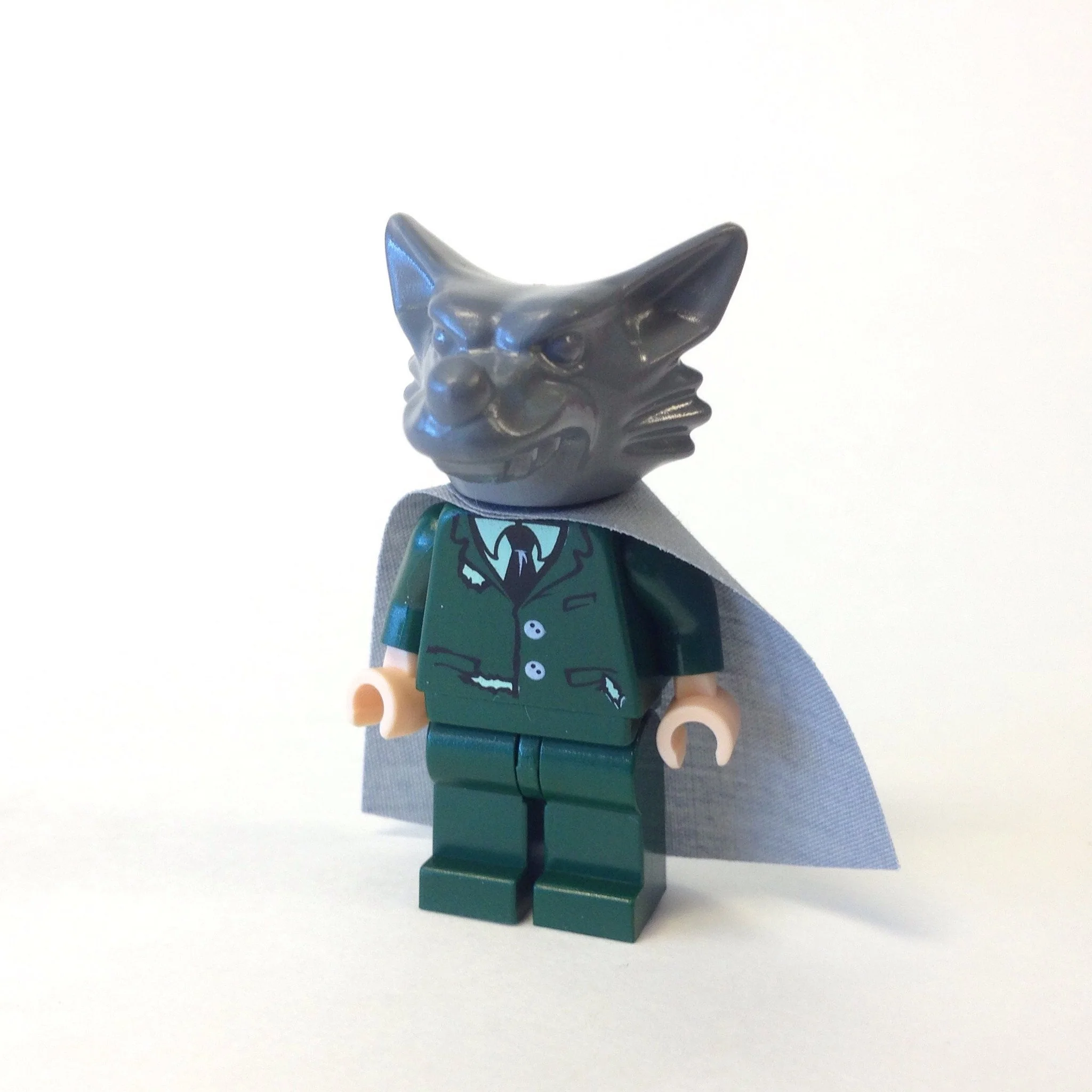 Professor Lupin / Werewolf