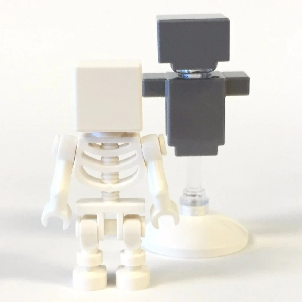 Skeleton with Helmet and Armor - Image 4
