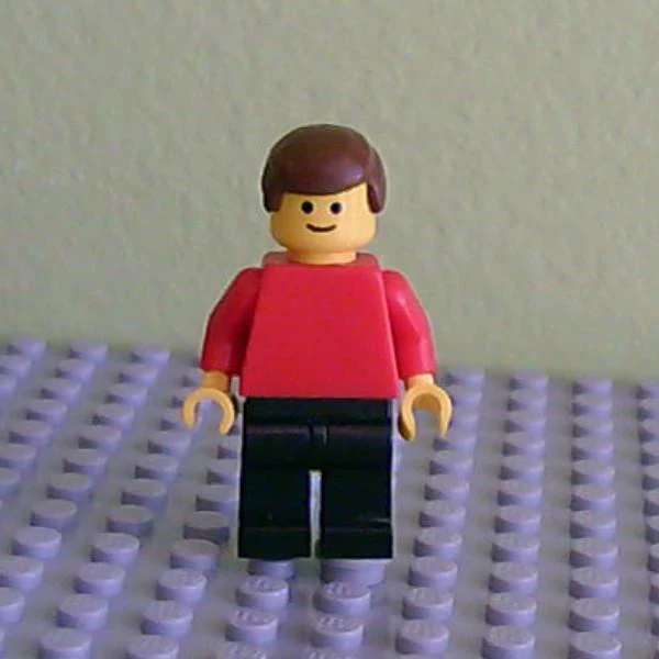 Plain Red Torso with Red Arms, Black Legs, Brown Male Hair