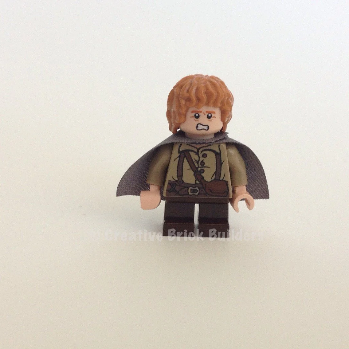 Samwise Gamgee - Image 3