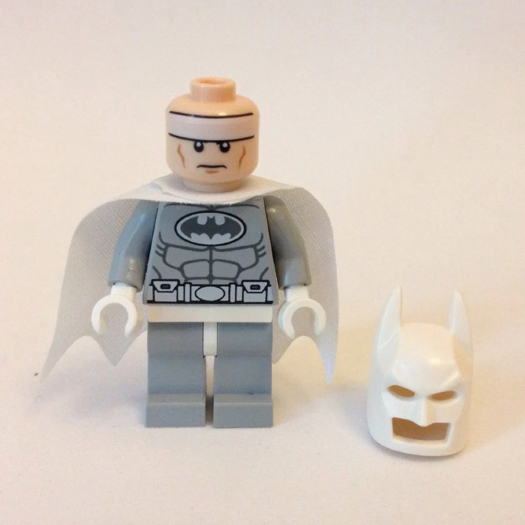 Arctic Batman - Image 3