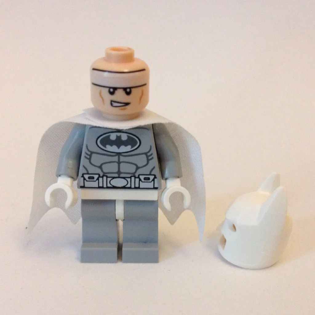 Arctic Batman - Image 4