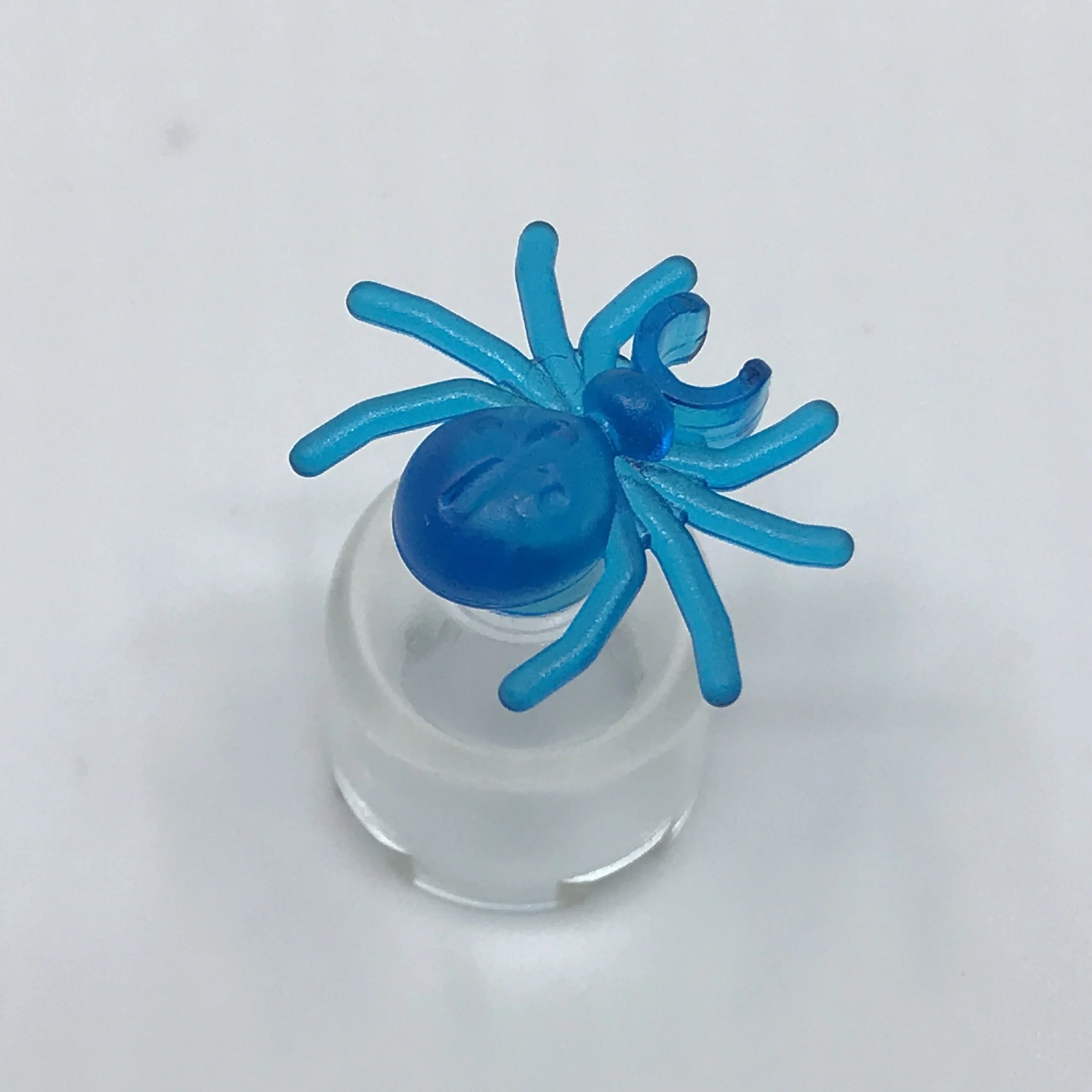 Spider