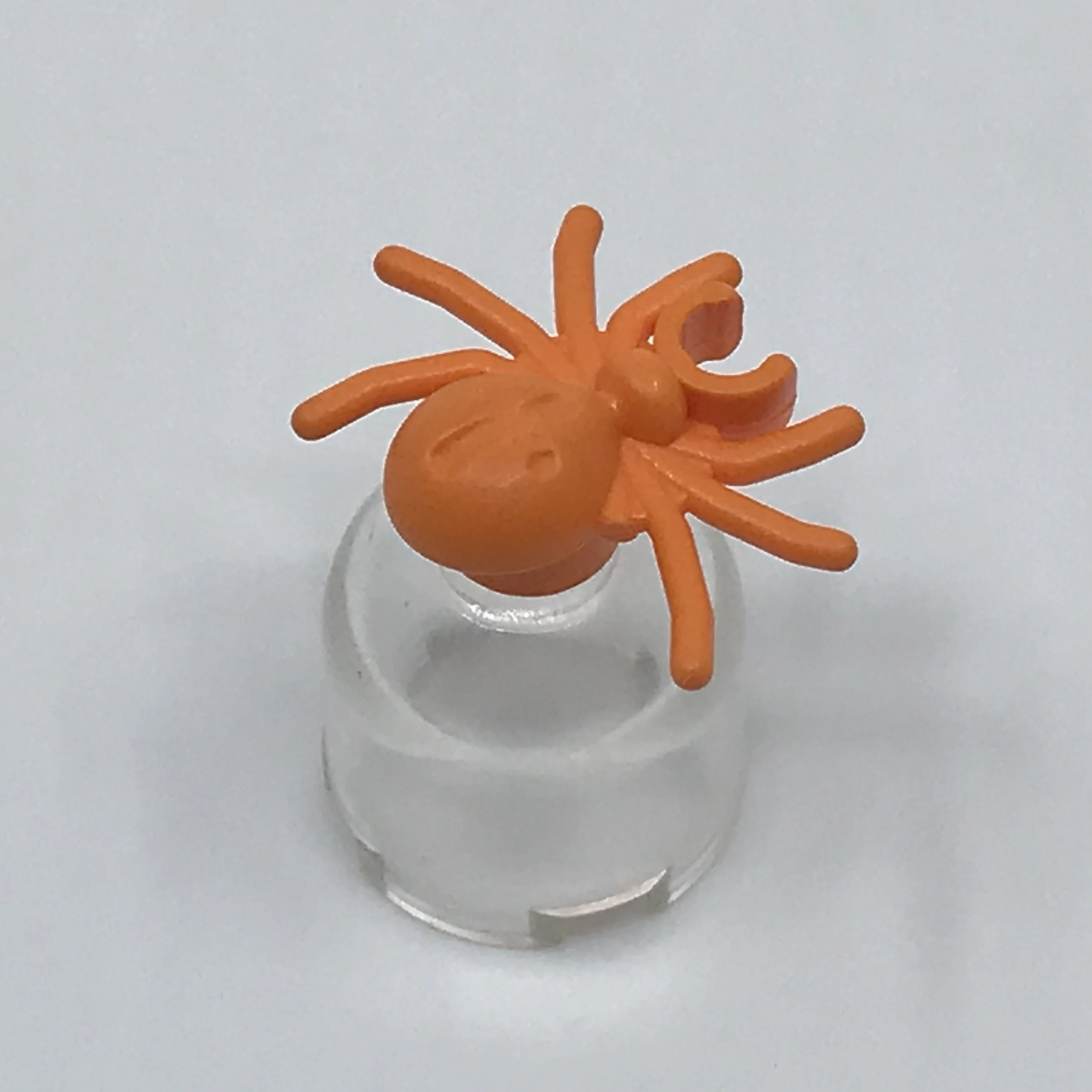 Spider - Image 5