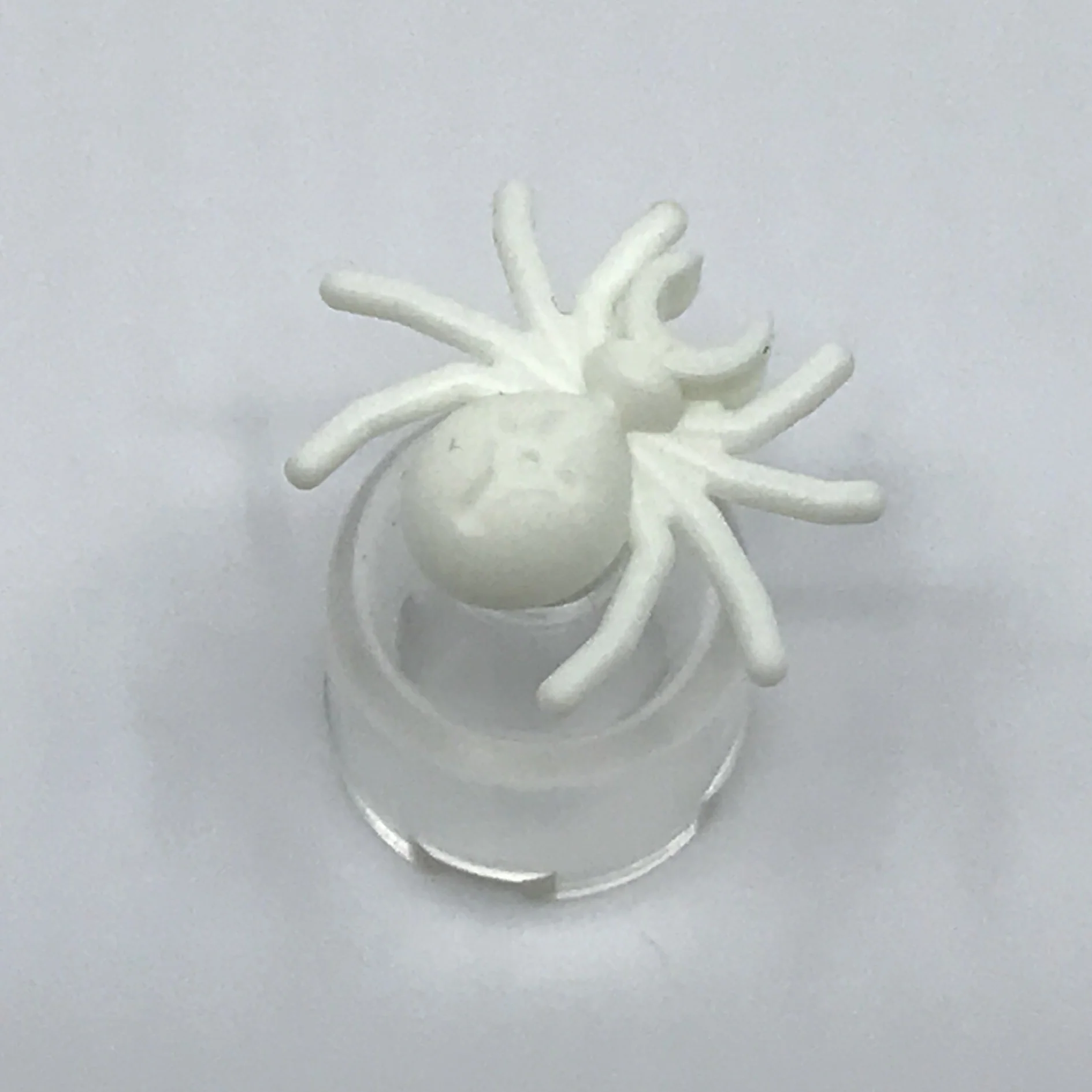 Spider - Image 8