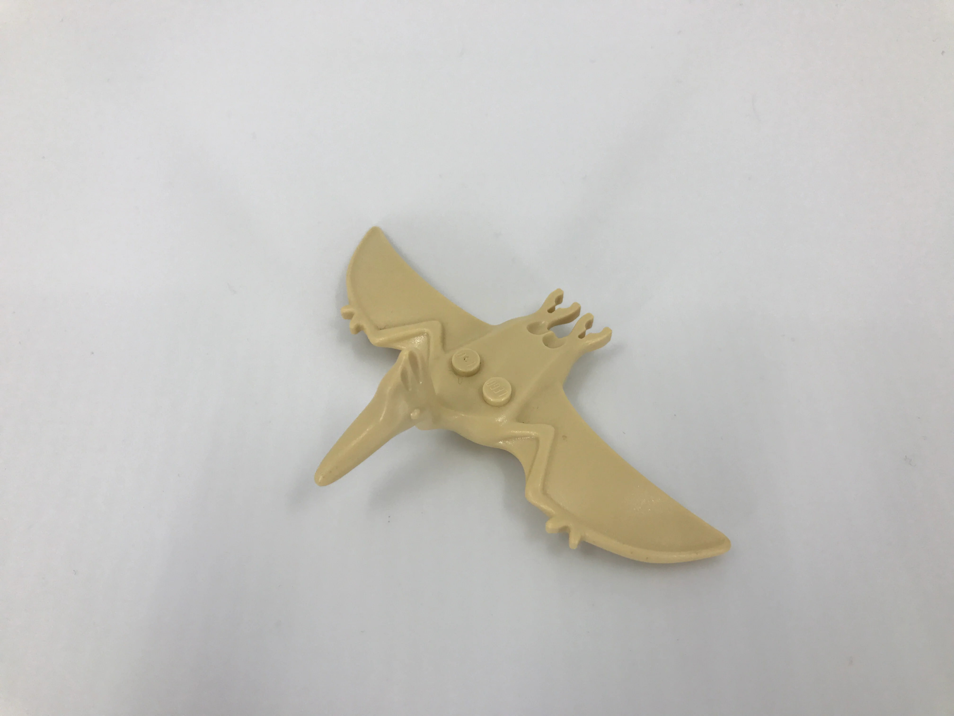 Pteranodon - Image 4