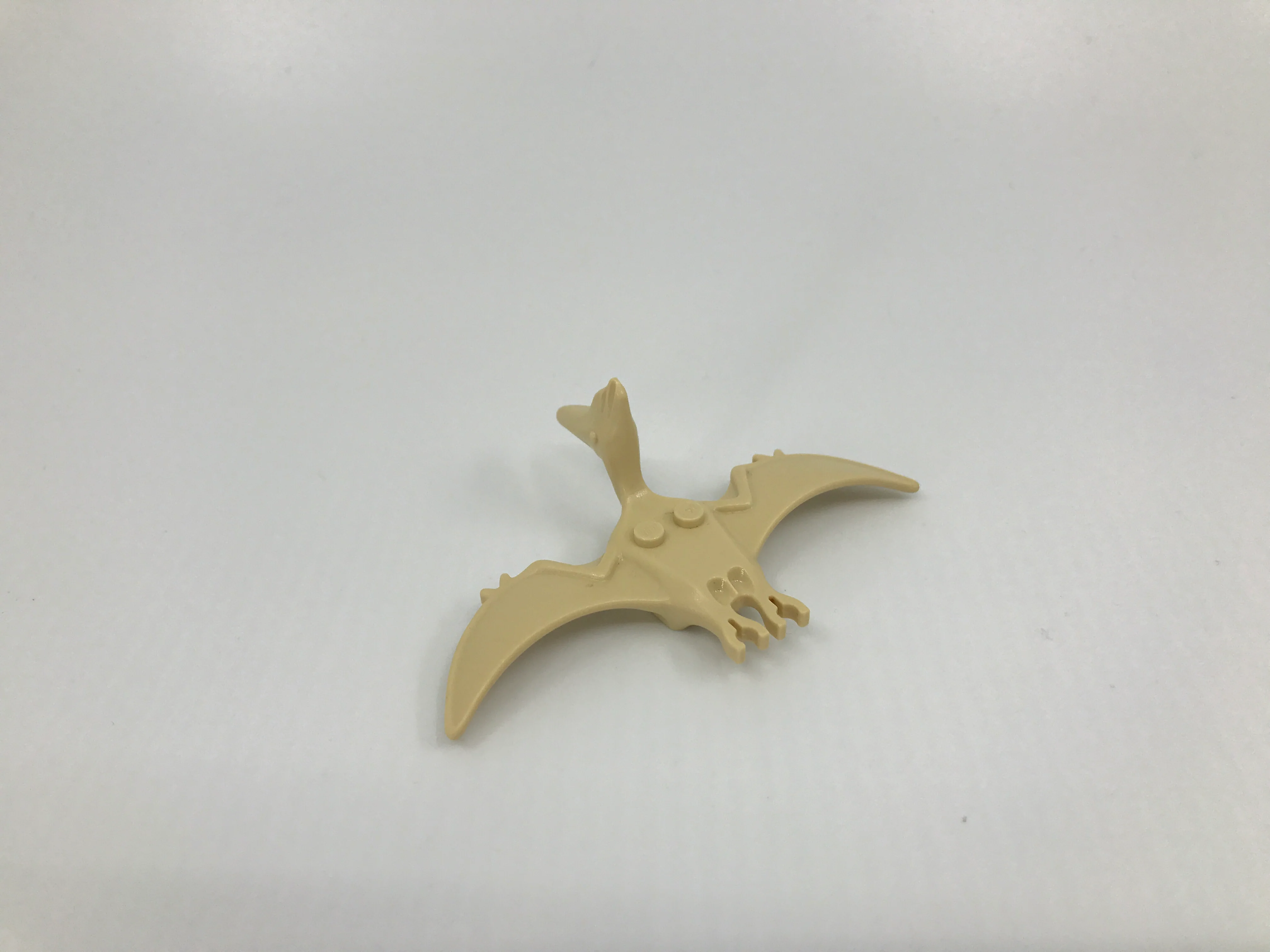 Pteranodon - Image 5