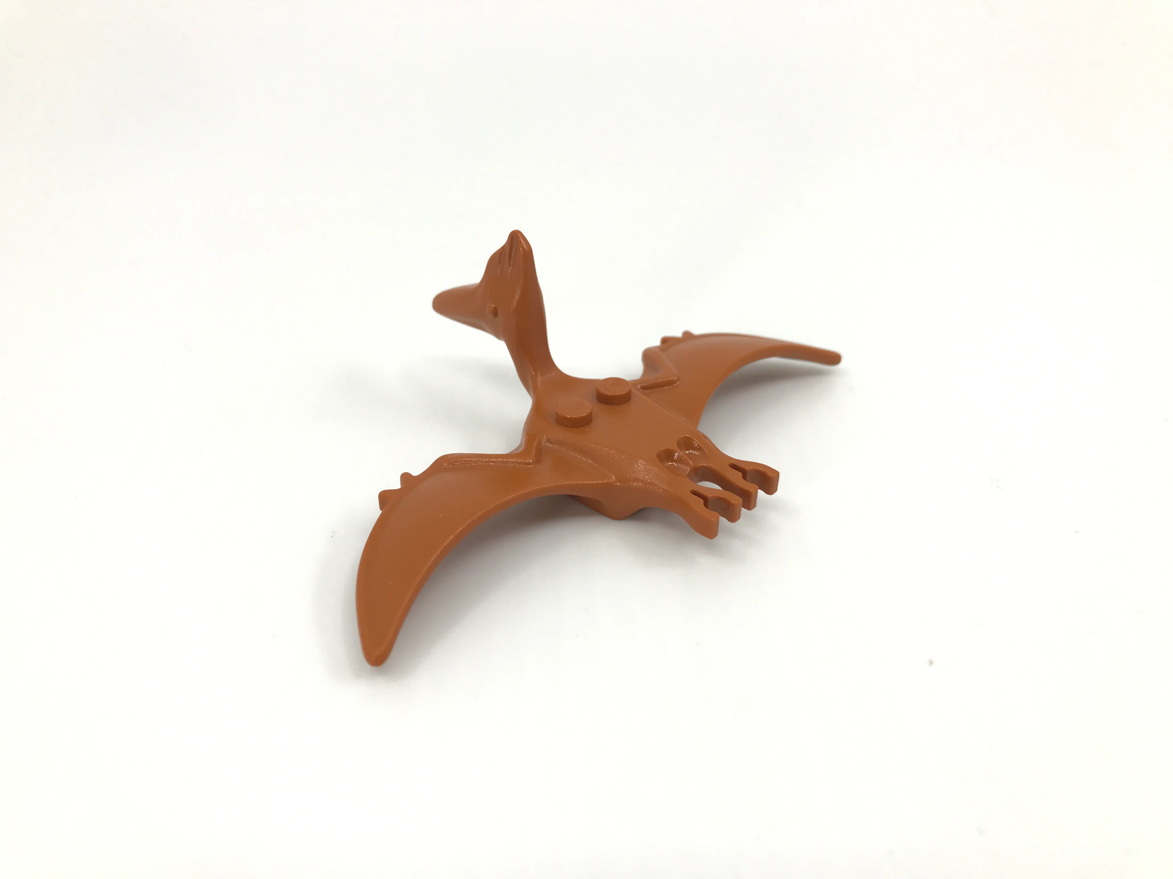 Pteranodon - Image 8
